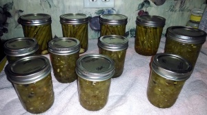 A good start to canning this year.